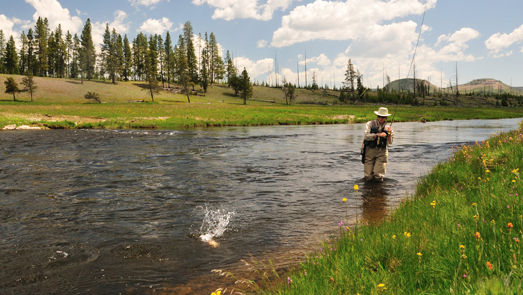 Fishing Reports Fly Shops