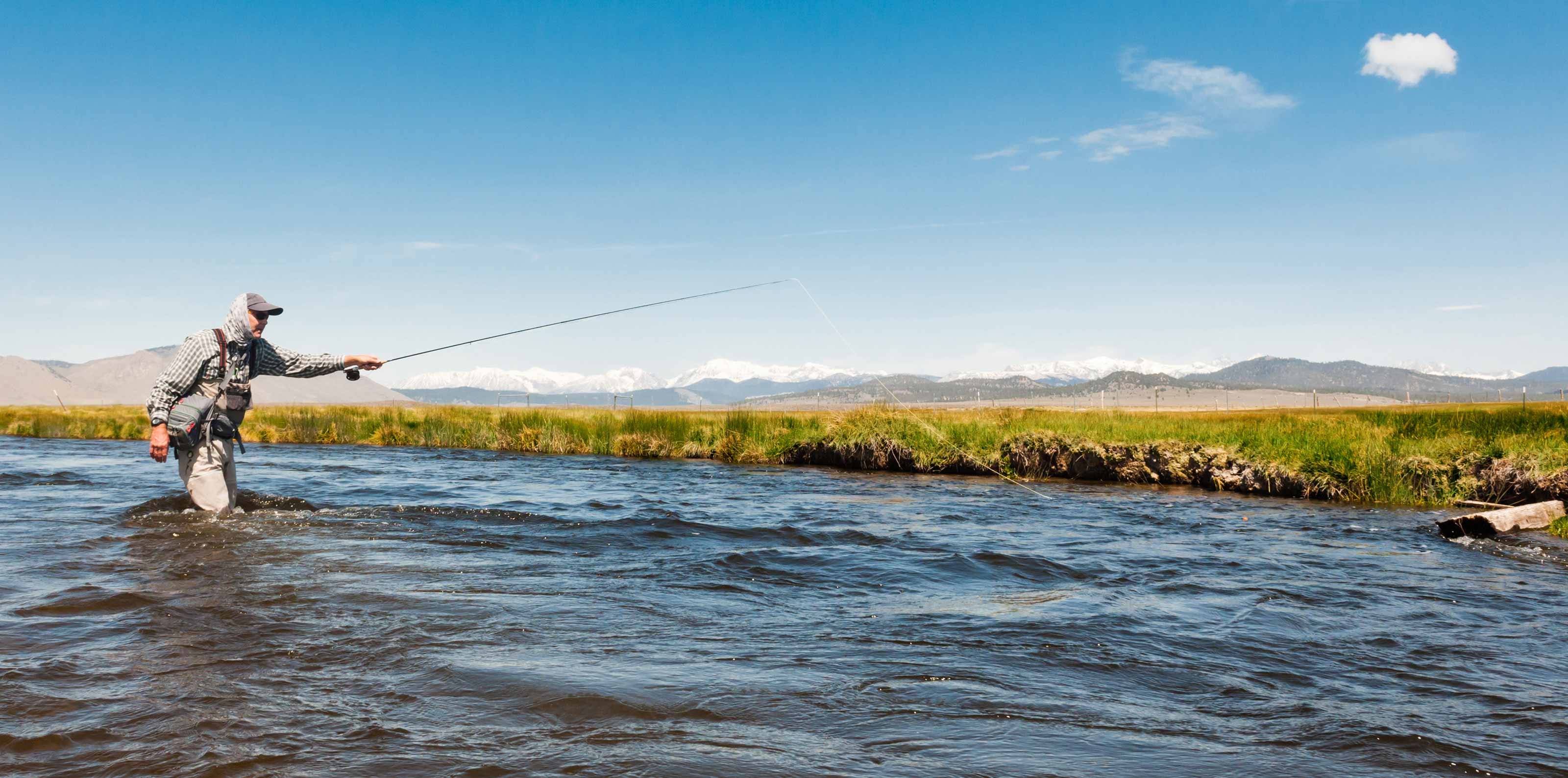 Spring Fishing